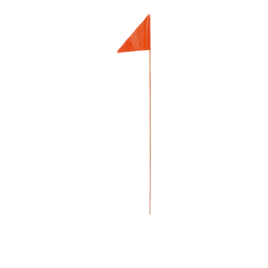 Trike flag