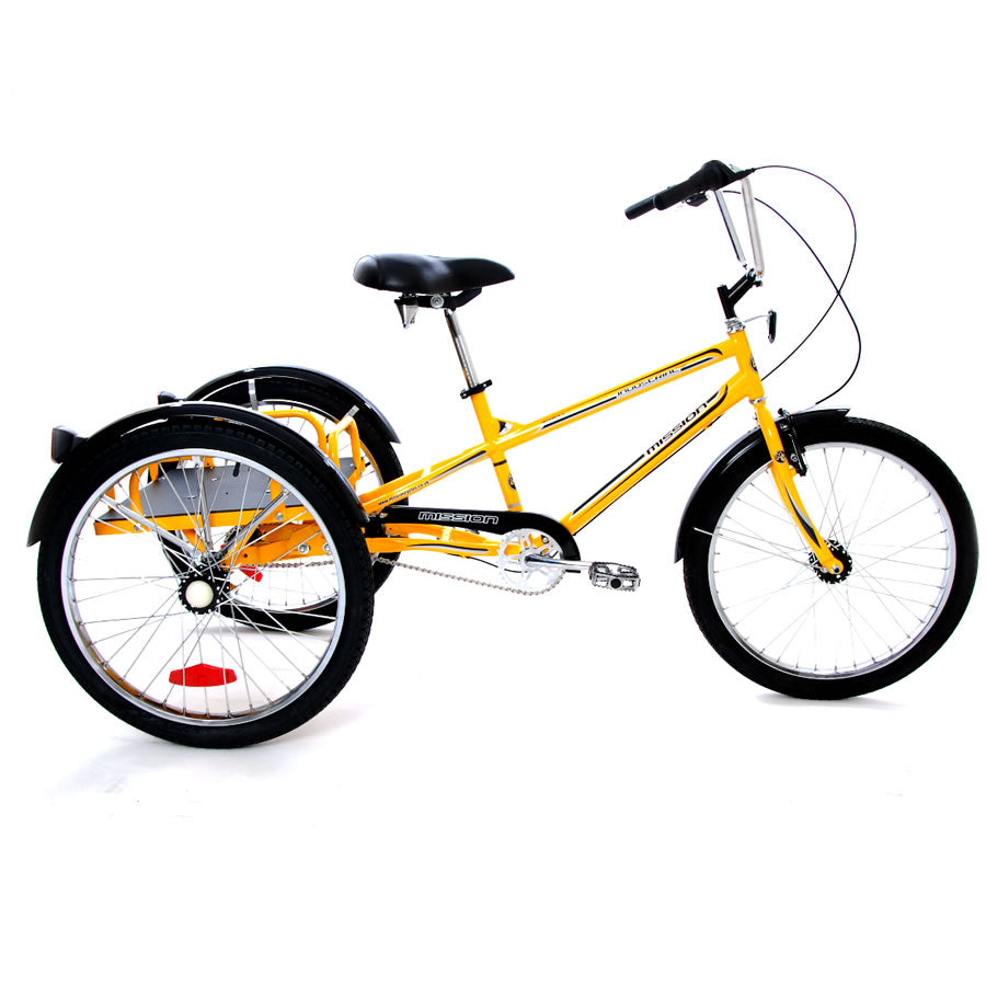 Industrial Cargo Trike
